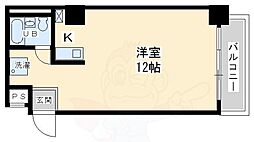 グレースヨシダ