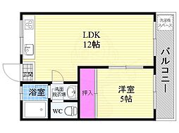 カサボニータ淀