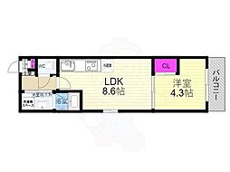 ブランドールO&M