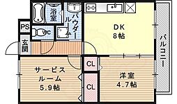 プラシド七瀬川