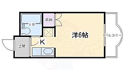 コーポアルビオレ