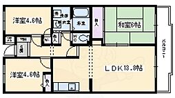 レオパルド