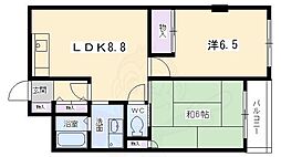 OZASAライブコープ