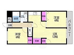 シロハイヌ向島