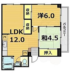 グレーシー高野