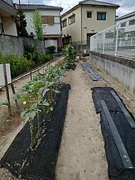 島泉6丁目　菜園用地