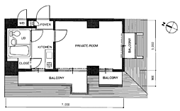 ロマネスク渡辺通第2 701