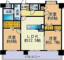 カラコレスV 406