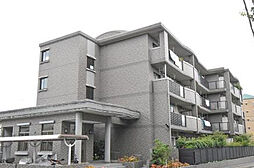 プレミール石丸 305