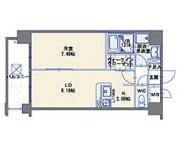 ラフィーネ博多駅前 401