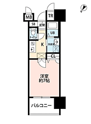 サヴォイ　テンジンスクワイヤー 714