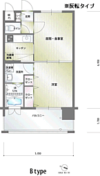 エンクレスト薬院II 204