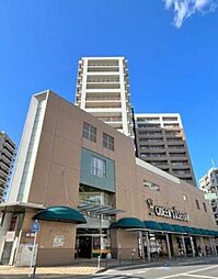 ハイムプラザ北浦和 1308