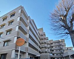 エマーレ南浦和 205