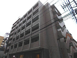 ドルフ 503