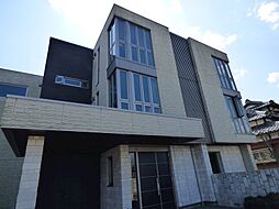 Blannoir 203