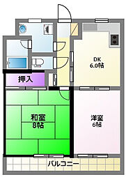 Raffine泉 305