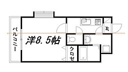 カズII 107