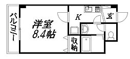 オリーブ 203