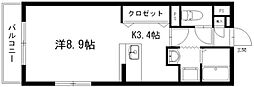 バロンウィズI 300