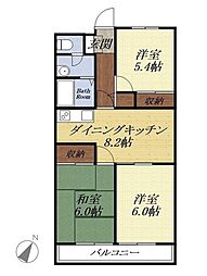 サイプレス 105