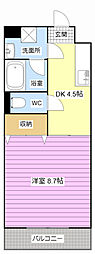 Branche泉 105