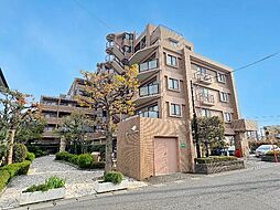 セザール大宮日進