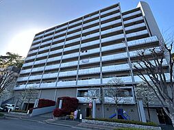 シティ光陽朝霞泉水