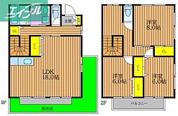スプルース