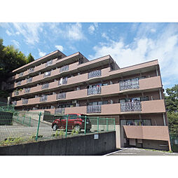 パティオ藤ヶ丘 403