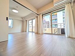 <VECS>エフィーナ南麻布7階 南向き角部屋2LDK