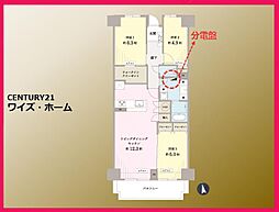 江東区白河4丁目