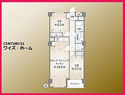 杉並区下井草5丁目