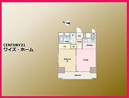 文京区本郷5丁目