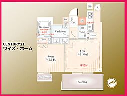 文京区関口1丁目