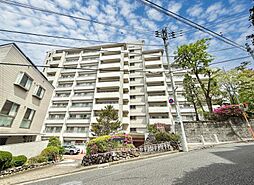 中野区松が丘1丁目