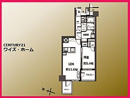 文京区大塚5丁目