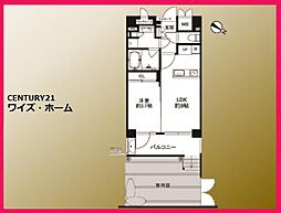 文京区小石川5丁目