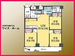 文京区大塚5丁目