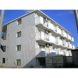 シェトワ鷹羽