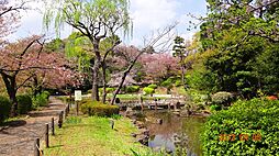 中野区江古田1丁目