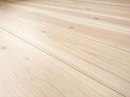 新潟市秋葉区田家3丁目　戸建て