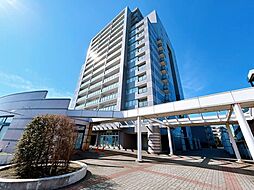 ダイアパレスロイヤルシティ東幸町西棟 513