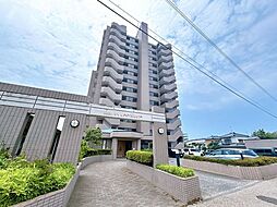 関屋カメリア 501