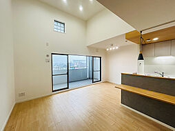 バンベール・ラフィネ道徳 805