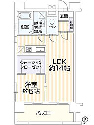 フラワーコーポ六本松 503