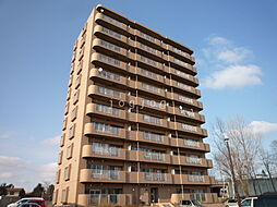 ルピナス壱番館 903