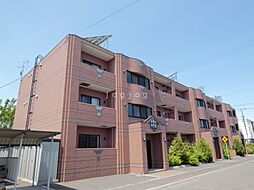 ミラドール琴 205