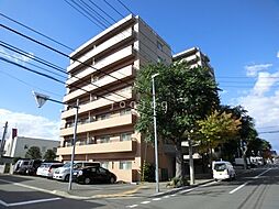 ブルーリーフ桑園 502
