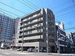 ステイブルＳ17 203